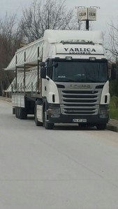 ad92bb31-e422-4619-b6e5-349e2e55c9b5